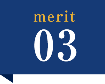 merit03